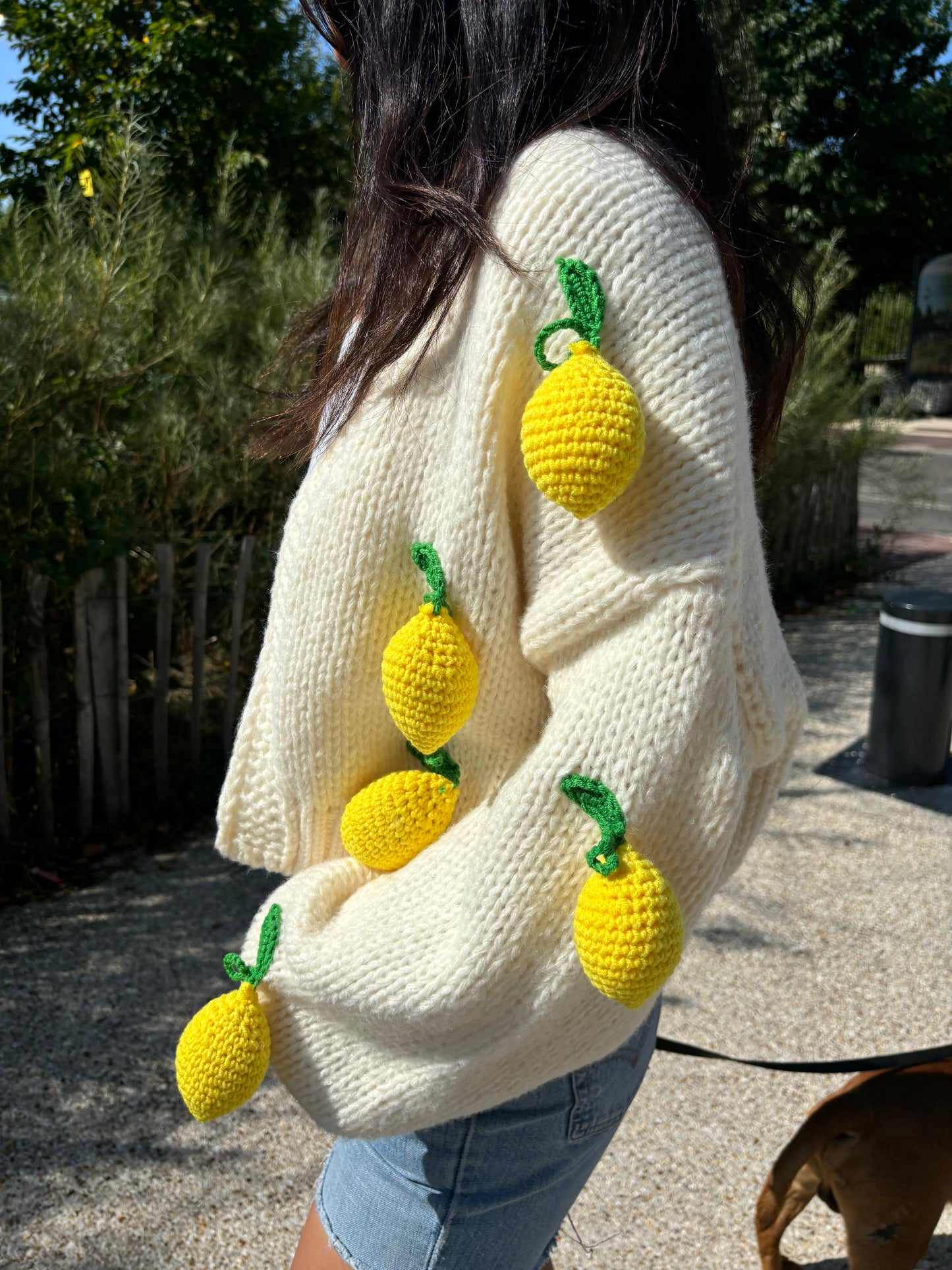 Cardigan Leonie citrons